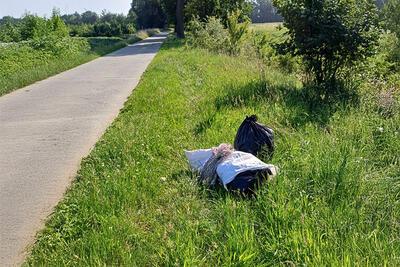 Sluikstort langs de weg