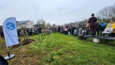 Geboortebos Sint-Gillis-Waas